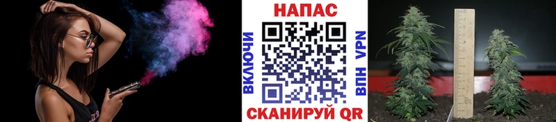 что такое Анадырь МАРИХУАНА Ganja